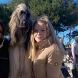 Polos  avatar