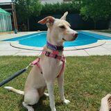 Molly  avatar