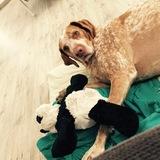 Oddie avatar