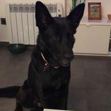 Maggie avatar