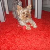 Roky avatar