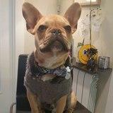 EROS avatar