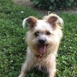 Myko avatar