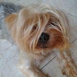 Coby avatar