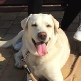 Max avatar