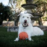 Cata Margarita  avatar