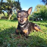 Zazpi avatar