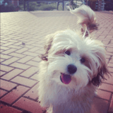 Keka avatar