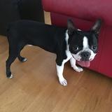 Roky avatar