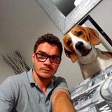 Mafi avatar