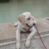 Yara avatar