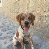 Max avatar