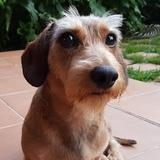 Coco avatar