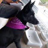 Samanta avatar