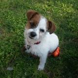 Yla avatar