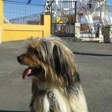 keeper avatar