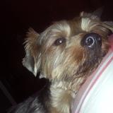 Becquer avatar