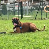 Zeus avatar