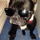 Lucho avatar