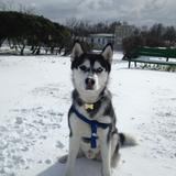 luke avatar