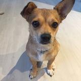 Mila avatar