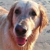 KIARA avatar