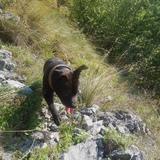 Argi avatar