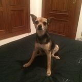 Suki avatar
