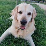 Baco avatar
