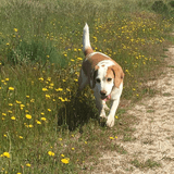 Benjie avatar