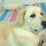 BIMBA avatar