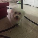 Nana avatar