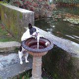 Lola avatar