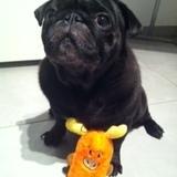 Filippo avatar