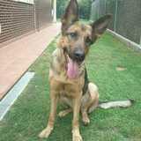 Mora avatar