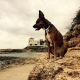 Kiara avatar