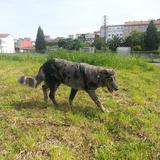 Lila avatar
