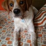 Ulises  avatar