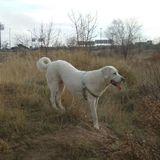 Maggie avatar