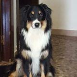 Otto avatar