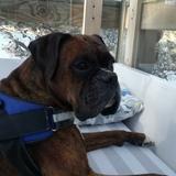 Wilson avatar