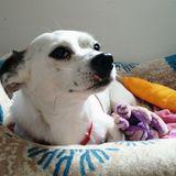 Blanky avatar