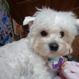 Paquita avatar