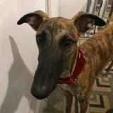 AQUILUS avatar