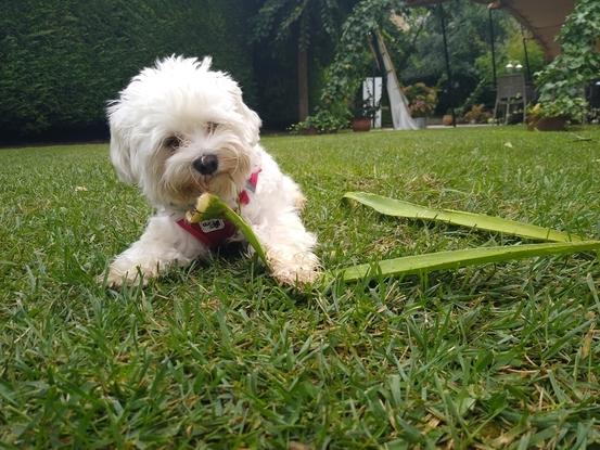 ¡Disfrutando del parque!