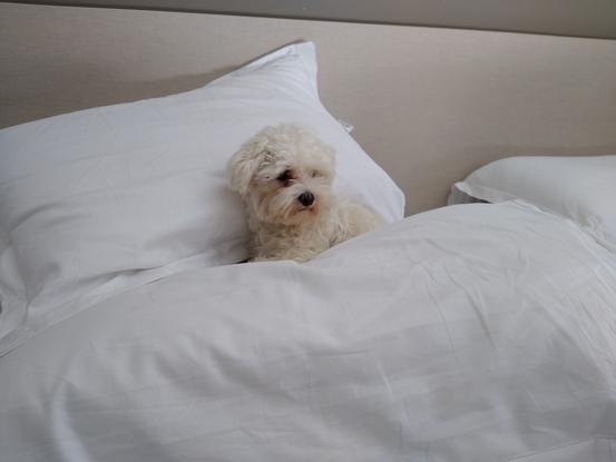 Mi vida en hoteles
