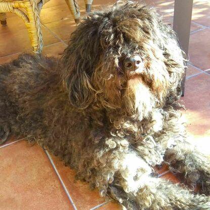 Tomando el sol