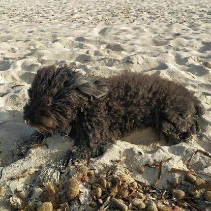 Disfrutando de un día de playa