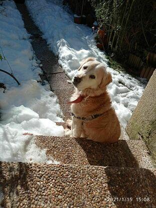 Nube
