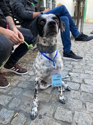 He sido ayudante en congresos y charlas
